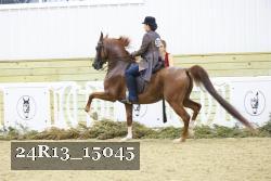 24R13_15045 thumbnail