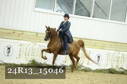 24R13_15046 thumbnail