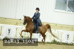 24R13_15047 thumbnail