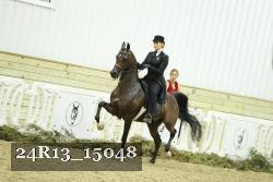 24R13_15048 thumbnail