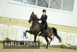 24R13_15049 thumbnail