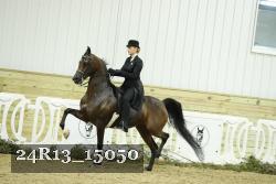 24R13_15050 thumbnail