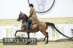 24R13_15051 thumbnail
