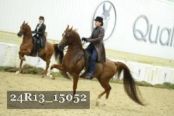 24R13_15052 thumbnail