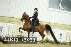 24R13_15053 thumbnail