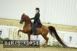 24R13_15054 thumbnail