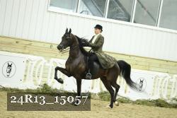24R13_15057 thumbnail
