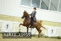 24R13_15059 thumbnail