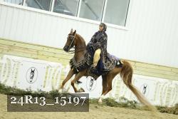 24R13_15197 thumbnail