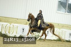 24R13_15198 thumbnail