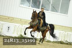 24R13_15199 thumbnail