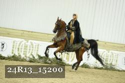 24R13_15200 thumbnail