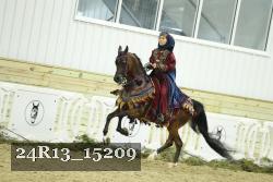 24R13_15209 thumbnail