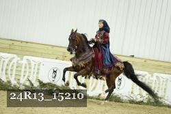 24R13_15210 thumbnail