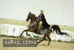 24R13_15214 thumbnail