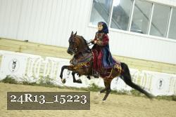 24R13_15223 thumbnail