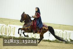 24R13_15224 thumbnail