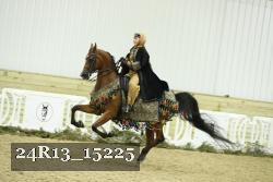 24R13_15225 thumbnail