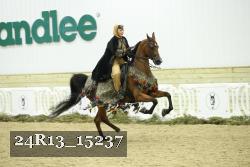 24R13_15237 thumbnail