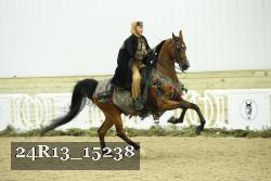 24R13_15238 thumbnail