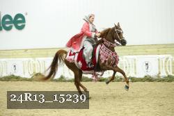 24R13_15239 thumbnail