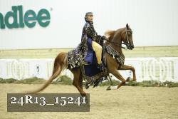 24R13_15241 thumbnail