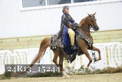 24R13_15244 thumbnail
