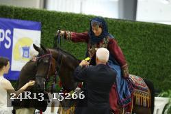24R13_15266 thumbnail