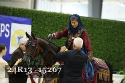 24R13_15267 thumbnail