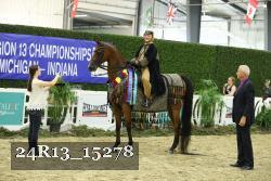 24R13_15278 thumbnail