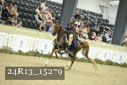 24R13_15279 thumbnail