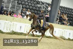 24R13_15280 thumbnail