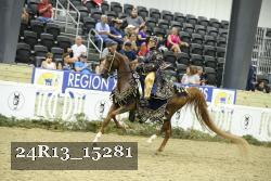 24R13_15281 thumbnail