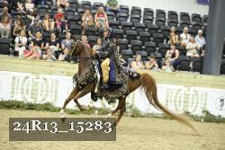 24R13_15283 thumbnail