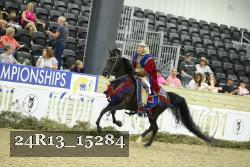 24R13_15284 thumbnail