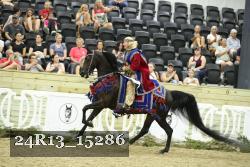 24R13_15286 thumbnail