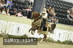 24R13_15287 thumbnail