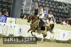 24R13_15288 thumbnail