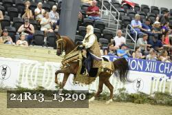 24R13_15290 thumbnail