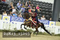 24R13_15293 thumbnail