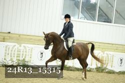 24R13_15315 thumbnail
