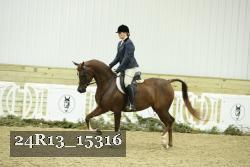 24R13_15316 thumbnail