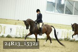 24R13_15321 thumbnail