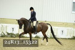 24R13_15322 thumbnail