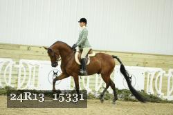 24R13_15331 thumbnail
