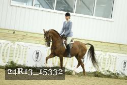 24R13_15332 thumbnail