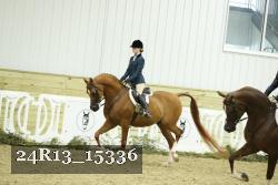 24R13_15336 thumbnail
