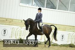 24R13_15337 thumbnail