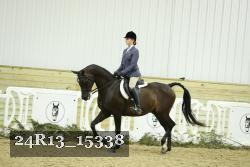 24R13_15338 thumbnail