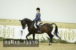 24R13_15339 thumbnail
